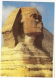 Egyptpostcards0003.jpg